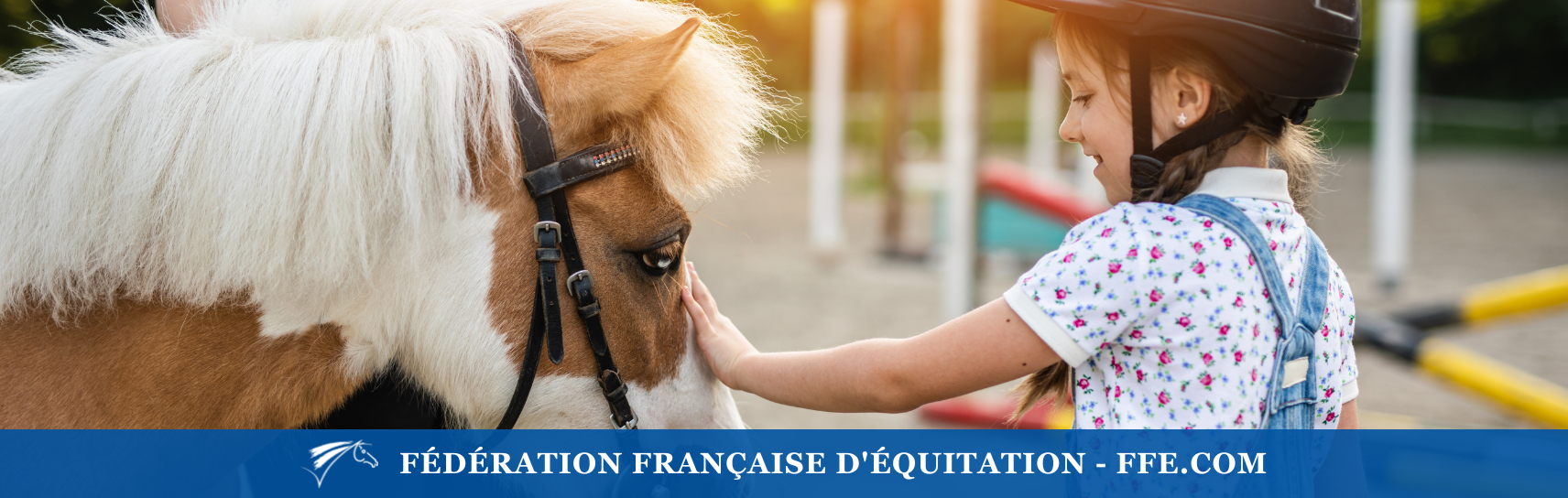 Miniature poney école