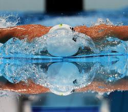 Para natation