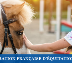 Miniature poney école